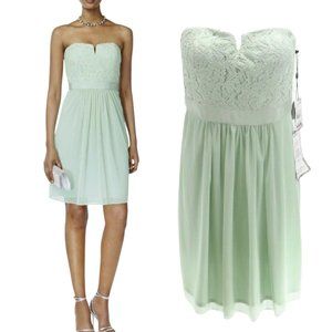 Adrianna Papell Strapless Dress Size 14 Mint Green Lace Tulle Cocktail NEW
